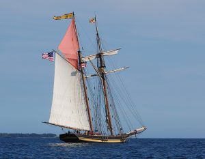 El Pride of Baltimore con su vela escandalosa izada (en rosa)